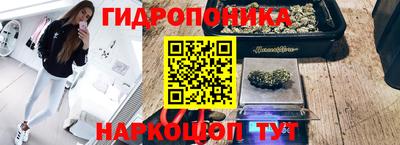 ALPHA-PVP Новозыбков