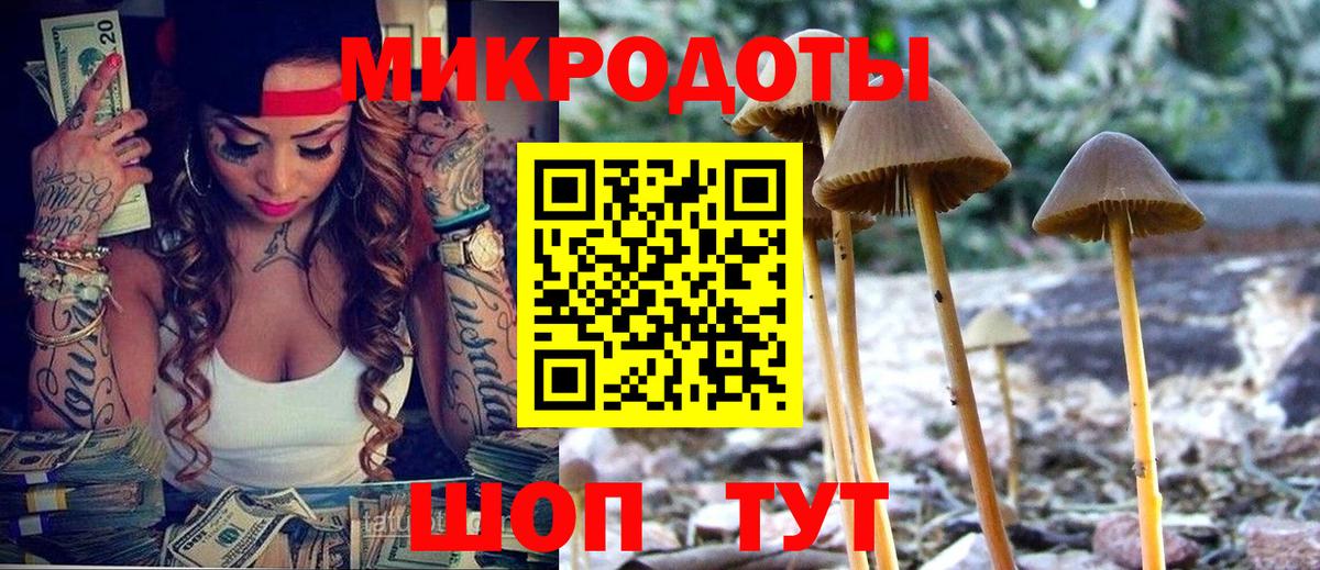 Галлюциногенные грибы прущие грибы  Вход с VPN  купить  сайты  Псилоцибиновые грибы GOLDEN TEACHER  Сунжа 